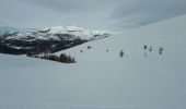 Tour Schneeschuhwandern Roubion - Col de  la Couillole à cime de Giarons - Photo 1