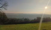 Trail Walking Hamoir - comblain la tour . hoyemont . oneux . comblain la tour - Photo 18