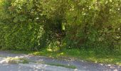 Tour Wandern Momignies - Seloignes 110621 - Photo 6