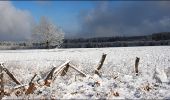 Randonnée A pied Spa - 21. La Fagne de Malchamps-Bérinzenne par la Vecquée - Photo 2