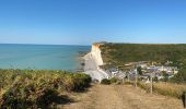 Tour Wandern Sassetot-le-Mauconduit - Sassetot - Photo 6