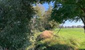 Tocht Te voet Ziesar - Naturparkrundwanderweg 50 - Photo 2