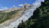 Excursión Senderismo Chamonix-Mont-Blanc - La Jonction - Photo 1