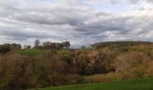 Randonnée Marche Sprimont - banneux . adzeux . grand pierreux . banneux / marche adeps 10 km  - Photo 7