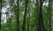 Tour Wandern Bourg-de-Péage - bois des Naix  - Photo 5