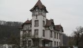 Tocht Te voet Beverungen - Rundweg Weser-Skywalk - Photo 10