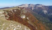 Tour Wandern Omblèze - Plateau d'Ambel (le tour) - Photo 17