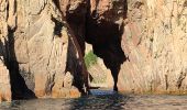 Randonnée Bateau à moteur Ota - Calanques par la mer Scandola Girolata - Photo 20