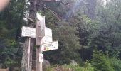 Tour Wandern Urbeis - Les deux lacs - Photo 17