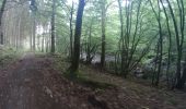 Percorso Mountainbike Couvin - pesche a chimay - Photo 6