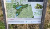 Trail Walking Condette - Harde lot Lac des miroirs  - Photo 1