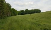 Tour Wandern Braine-le-Château - braine le château et Ittre - Photo 2