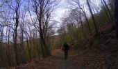 Randonnée V.T.T. La Roche-en-Ardenne - VTT autour des villages de la Roche en Ardenne - Photo 11