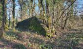 Tocht Stappen Sevenans - Randonnée des forts depuis Sévenans - Photo 2