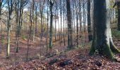 Tocht Stappen Oud-Heverlee - Zoete Water Meerdael 14,2 km - Photo 5