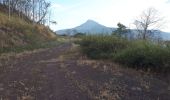 Trail Walking ຫ້ວຍເພັກ - NKM Bouddha Doré  - Photo 1