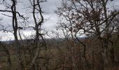 Excursión Senderismo Valence - Cornillas, Le vignoble, Peyrandieu - Photo 13