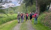 Trail Walking Sainte-Ode - Lavacherie - Photo 17