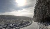 Randonnée Ski de fond Waimes - Les trois boucles des hautes fagnes - Photo 2