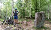 Percorso Mountainbike Raon-l'Étape - sortie vtt du 12052018 pierre d'appel  - Photo 10