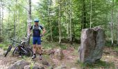 Randonnée V.T.T. Raon-l'Étape - sortie vtt du 12052018 pierre d'appel  - Photo 10