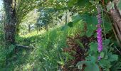 Trail Walking Menet - 20210614 Menet - Photo 13