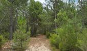 Excursión Marcha nórdica Vendays-Montalivet - Montalivet - Vensac Océan - Photo 15