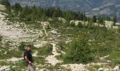 Randonnée Marche La Plagne-Tarentaise - Le col du Suchet retour les Frasses - Photo 2