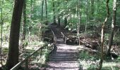 Tour Zu Fuß Unbekannt - Erlenloch, Naturparkweg 28 - Photo 1