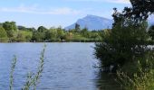 Tocht Stappen Apremont - 20190814 - Lac Saint André - Photo 4