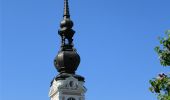 Tour Zu Fuß Kirchdorf an der Krems - Dem Schoko, Kaffee & Most auf der Spur - Photo 2