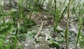 Trail Walking Die - Le Dôme ou Pié Ferré de l'Abbaye Valcroissant - Photo 4