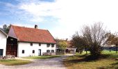 Tour Zu Fuß Wörthsee - Archäologischer Wanderweg - Photo 9