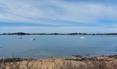 Trail Walking Sarzeau - PR_56_Sarzeau_GA_07_Regards-Sur-Le-Golfe_Circuit1b_20240310 - Photo 5