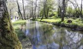 Trail Walking Talus-Saint-Prix - TALUS SAINT PRIX - Photo 13