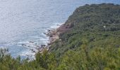 Tour Wandern Le Pradet - les oursini - Photo 20