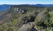 Excursión Senderismo Belgentier - Belgentier vers barres de Cuers - Photo 5