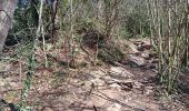 Tocht Stappen Santa Pau - la Garrotxa : volcan Santa Margarida et volcan de Croscat - Photo 18