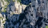 Tour Wandern Marseille - Calanque d'en Vau - Photo 8