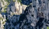 Tocht Stappen Marseille - Calanque d'en Vau - Photo 8