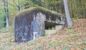 Tour Wandern Windstein - Rando Maginot Windstein - Photo 5