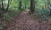 Trail Walking Mettet - Biesme 141022 - Photo 13
