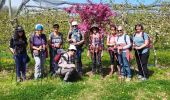 Trail Walking Le Poët - Les Combettes départ le Poet 276 + - Photo 2