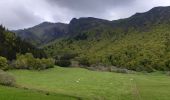 Randonnée Marche Chambon-sur-Lac - Vallée de Chaudefour et cascades  - Photo 2