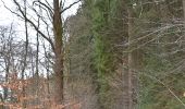Trail Walking Eupen - 20250224 - Eupen 7.4 Km - Photo 15