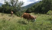 Tocht Stappen Torla-Ordesa - Torla Broto Oto Fragen 13 km - Photo 10