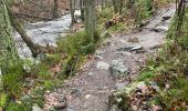 Tour Zu Fuß Jalhay - Jalhay ,pont de Bell heid 6 Km - Photo 3