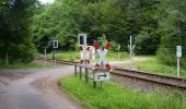 Excursión A pie Münchweiler an der Rodalb - Münchweiler Höhenwanderweg - Photo 3