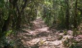 Trail Walking Grospierres - Rando Grospierres - Photo 4
