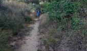 Trail Walking Braine-le-Comte - Bois et Sablière  - Photo 3